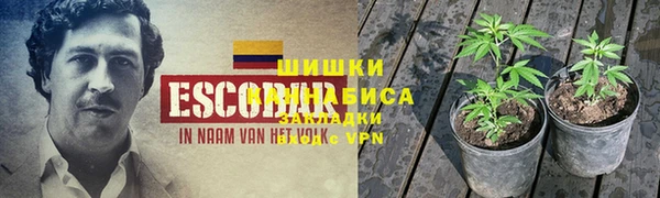 spice Покачи