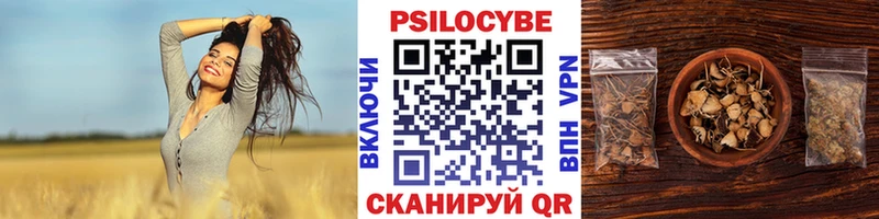 Псилоцибиновые грибы прущие грибы  нарко площадка клад  Себеж  сколько стоит 